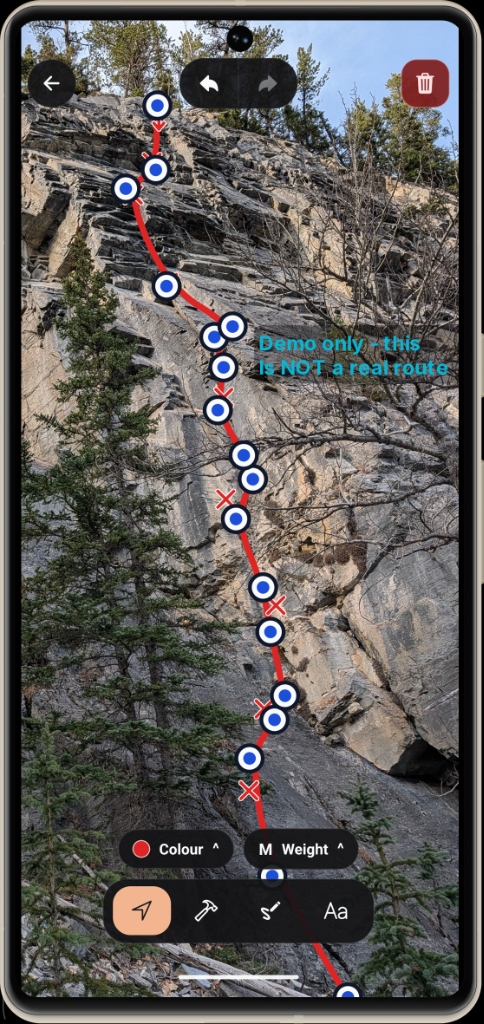Bolted Topo Editor interface on mobile